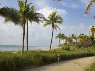 A bike path by the ocean