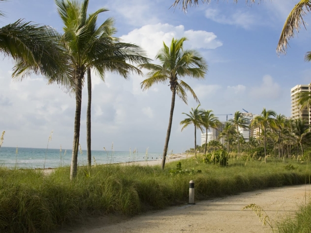 A bike path by the ocean