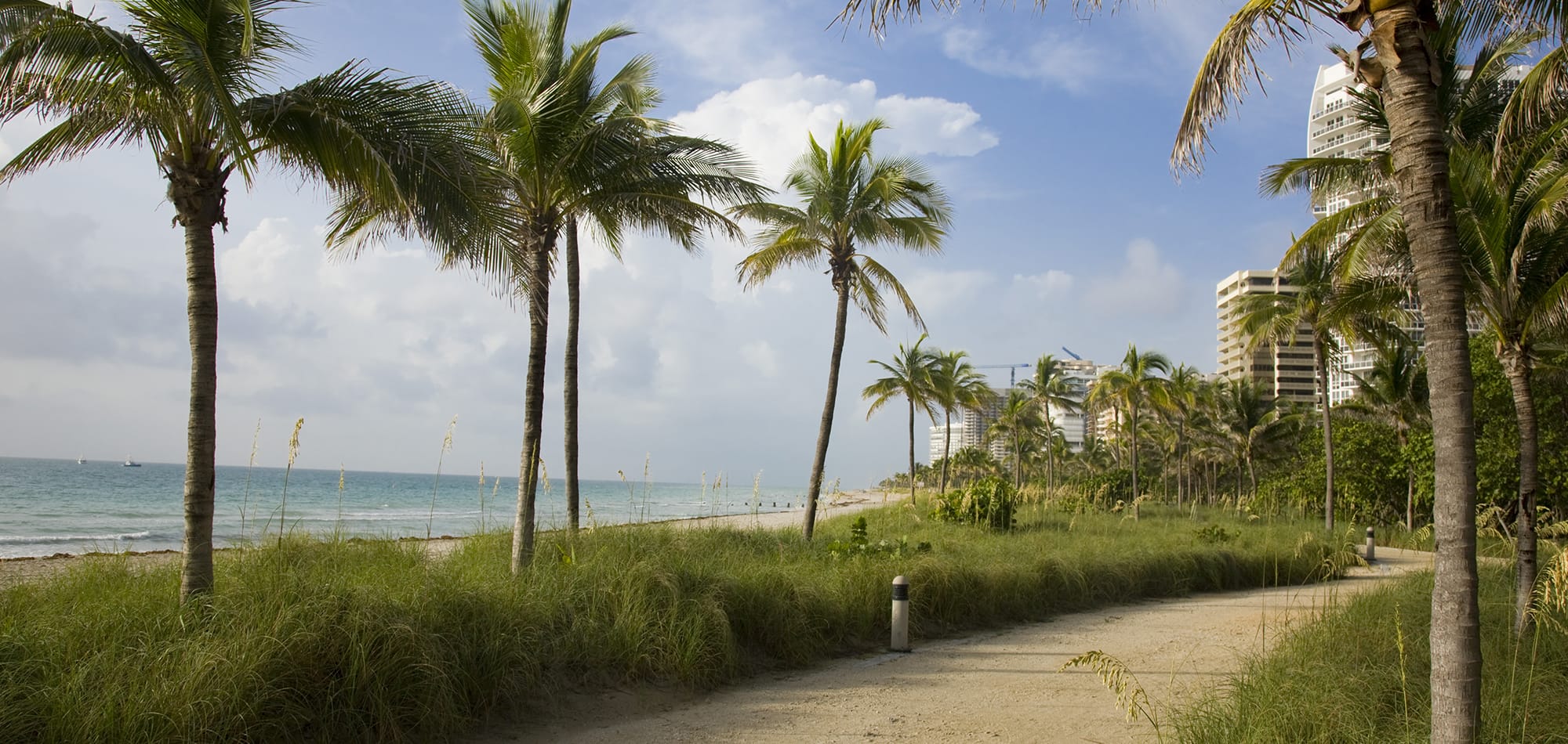 A bike path by the ocean