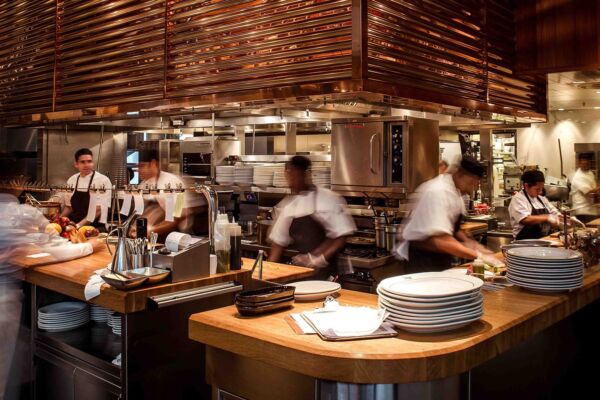 A busy kitchen and counter