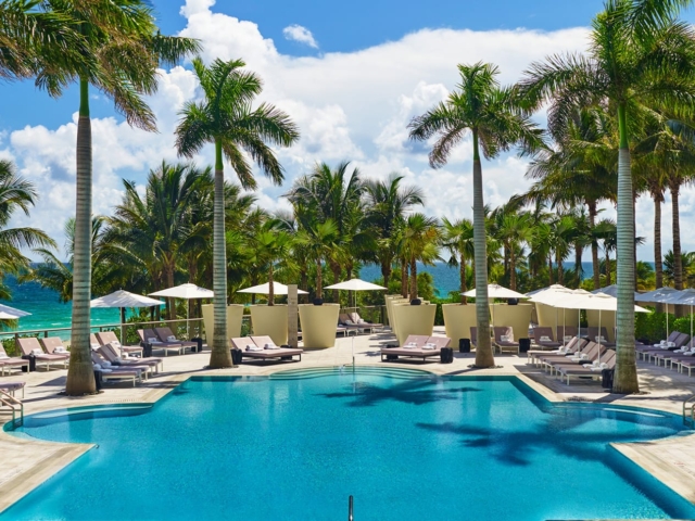 A pool with palm trees