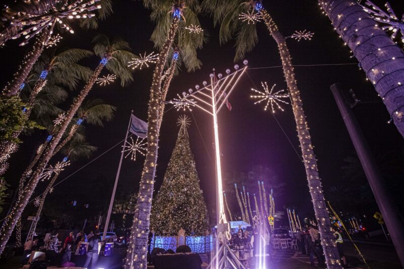 Palm Trees, Christmas Tree, and Mehorah with lights.